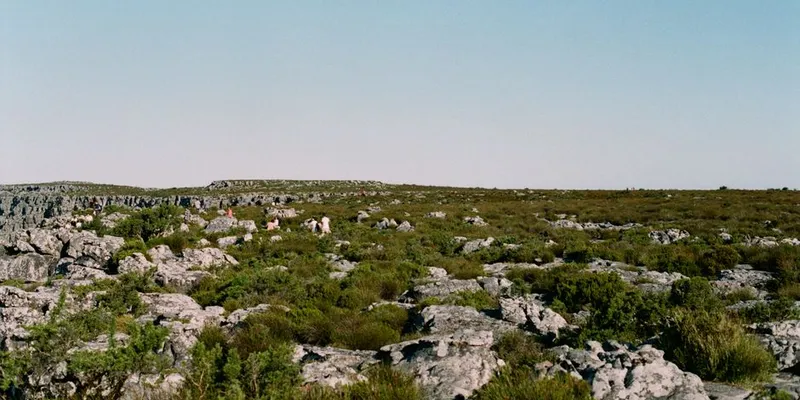 Field Notes: A Week Testing Data Collection Apps in the Cederberg