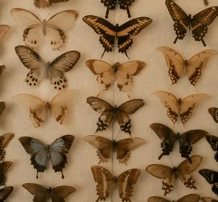 GBIF: The Global Biodiversity Information Facility