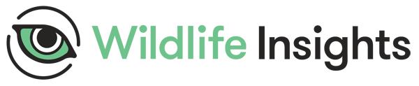 Wildlife Insights logo